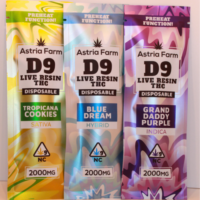 2g D9 Live Resin Disposable Vape